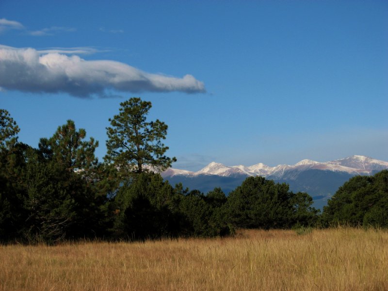 Mule Canyon Ranch & Holding -pr : Westcliffe : Custer County : Colorado