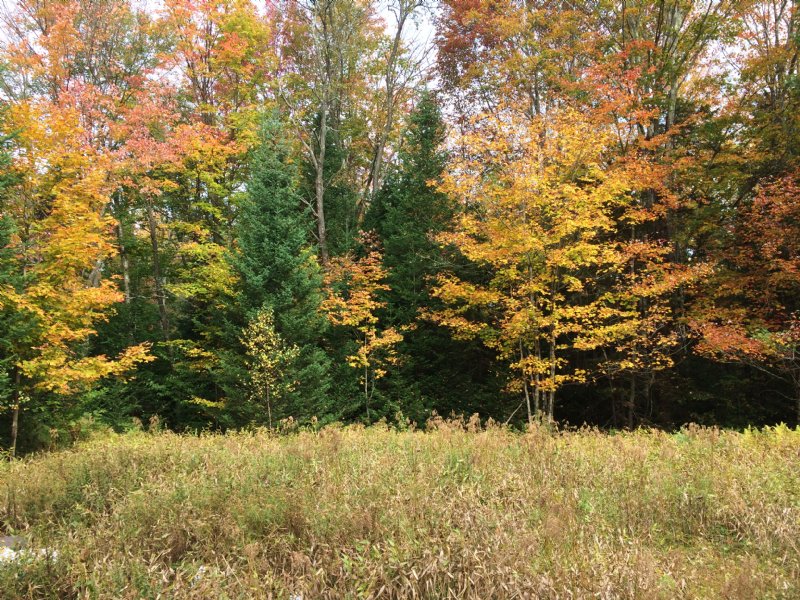 Ready To Build Recreational Land : Russia : Herkimer County : New York