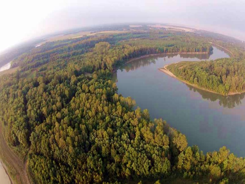396 +/- Acre Deer and Duck Hunting : Des Arc : Prairie County : Arkansas