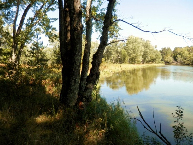 Wisconsin River - 45.60 Ac : Newbold : Oneida County : Wisconsin