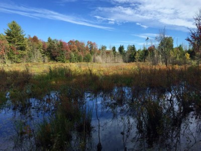 On Mellon Pond : Amboy : Oswego County : New York