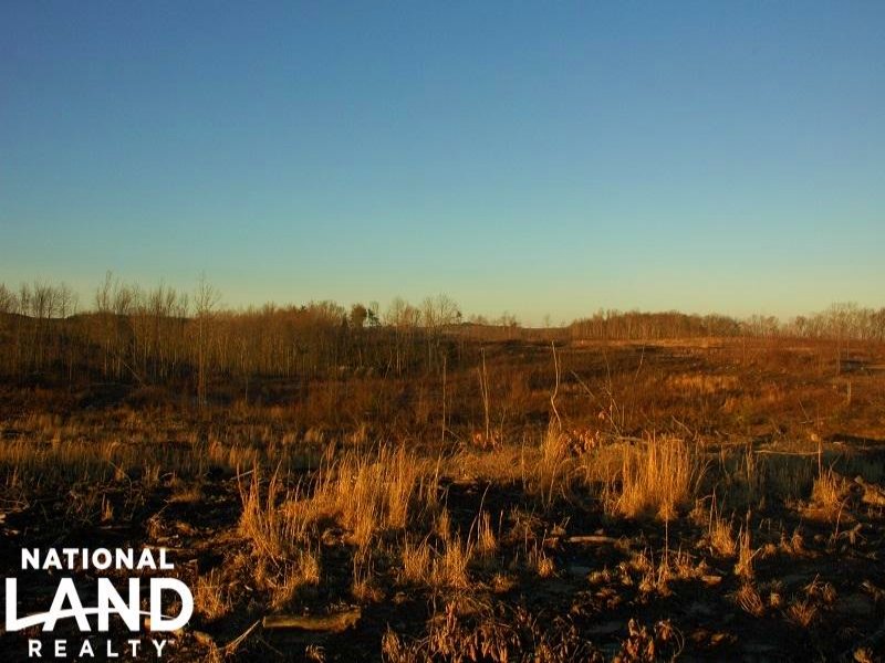 Grundy Recreational Timber Investme : Tracy City : Grundy County : Tennessee