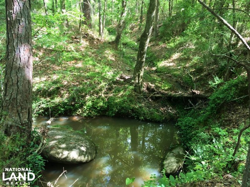 Greenwood Hunting & Timber Investme : Greenwood : Greenwood County : South Carolina