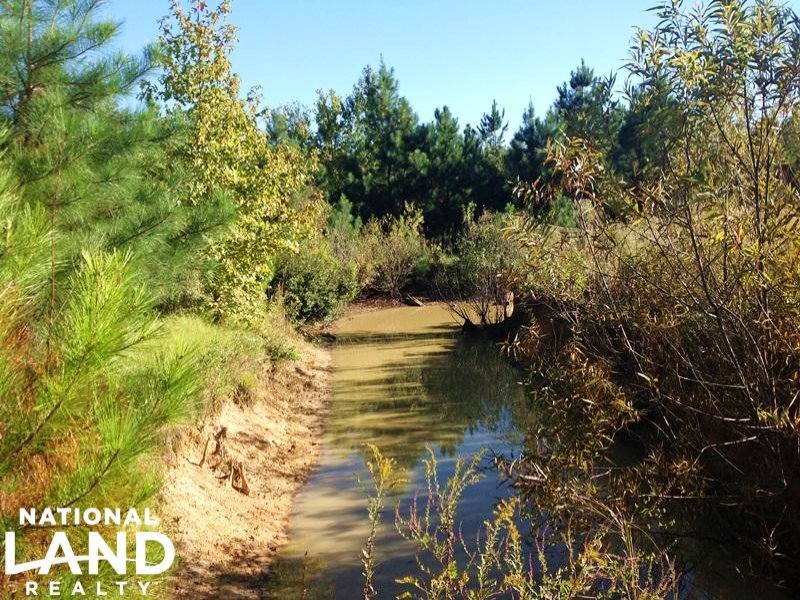 Hemingway Hunting & Recreational Tr : Hemingway : Georgetown County : South Carolina