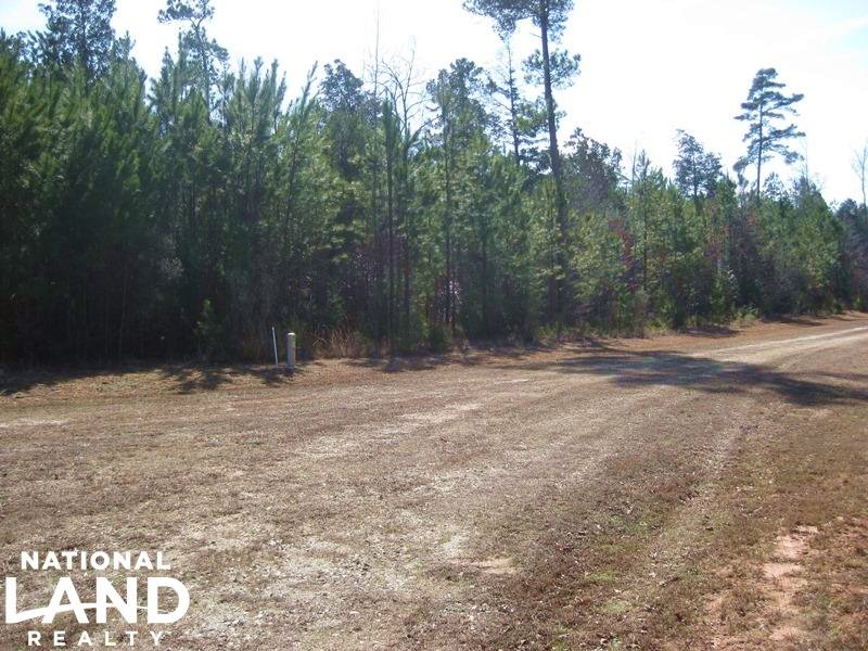 Private Home Site Lot Land for Sale in Little Mountain, Newberry