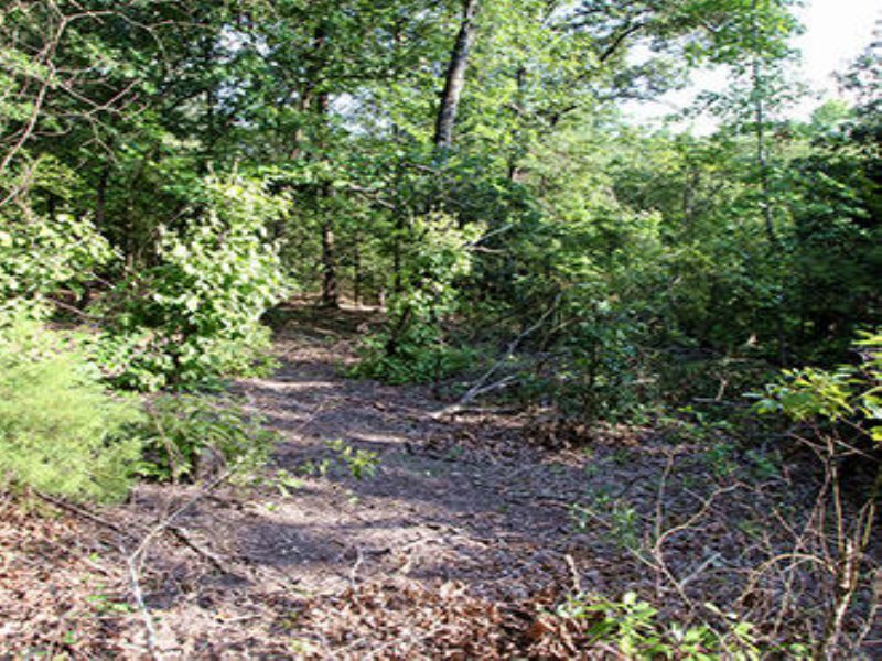 0.14 Acre Lot Near Tyler : Lindale : Smith County : Texas