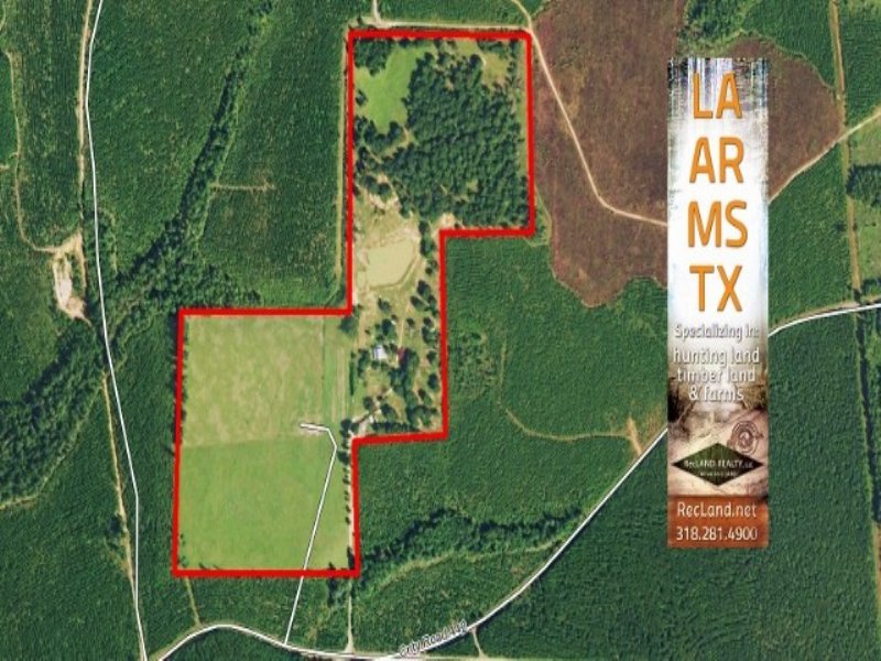 55.00 Acres Cattle Farm Land : Jasper : Jasper County : Texas
