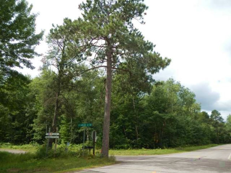 5.01 Wooded Level Acres : Lac Du Flambeau : Vilas County : Wisconsin