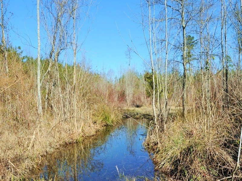 Florence County Recreational & Agri : Sardis : Florence County : South Carolina
