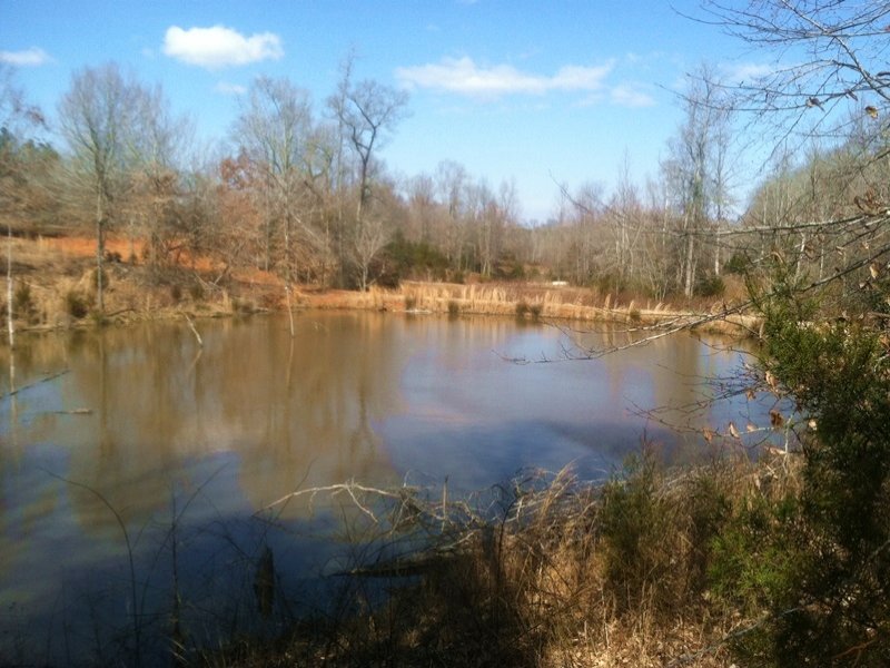 Beautiful Farming Estate : Enoree : Laurens County : South Carolina