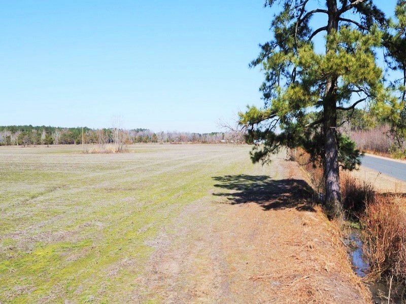 Sardis Agricultural & Recreational : Sardis : Florence County : South Carolina