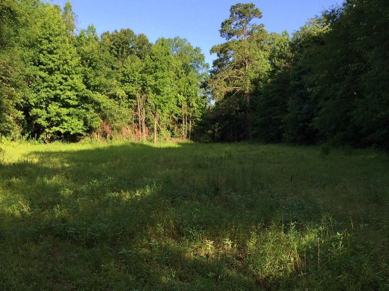 Riverfront Recreational Property : Aliceville : Sumter County : Alabama