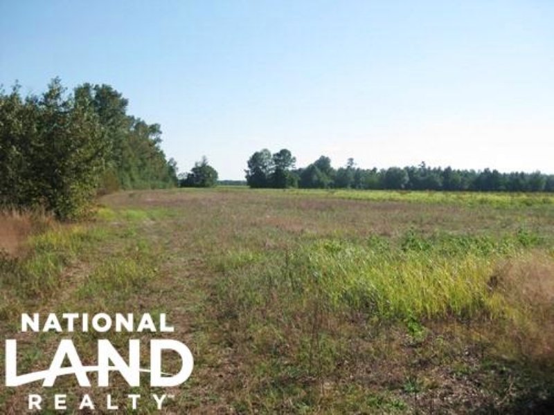35 Acre Timber & Farming Tract in L : Bishopville : Lee County : South Carolina