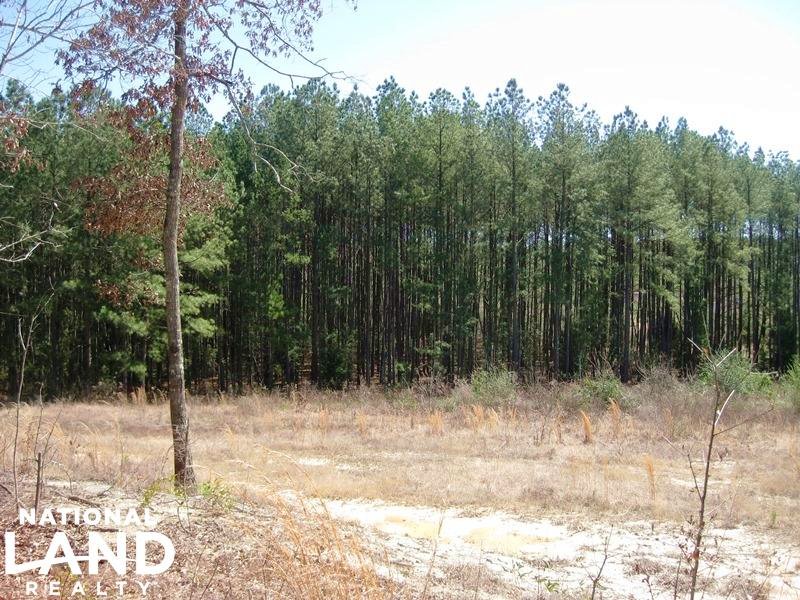 Gilbert Executive Homesite : Gilbert : Lexington County : South Carolina