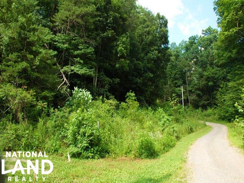 Residential Lot in Quiet Community : Cosby : Cocke County : Tennessee