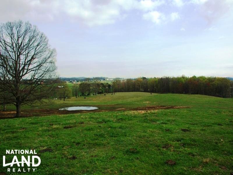 Farm & Home with Development Opport : Dandridge : Jefferson County : Tennessee