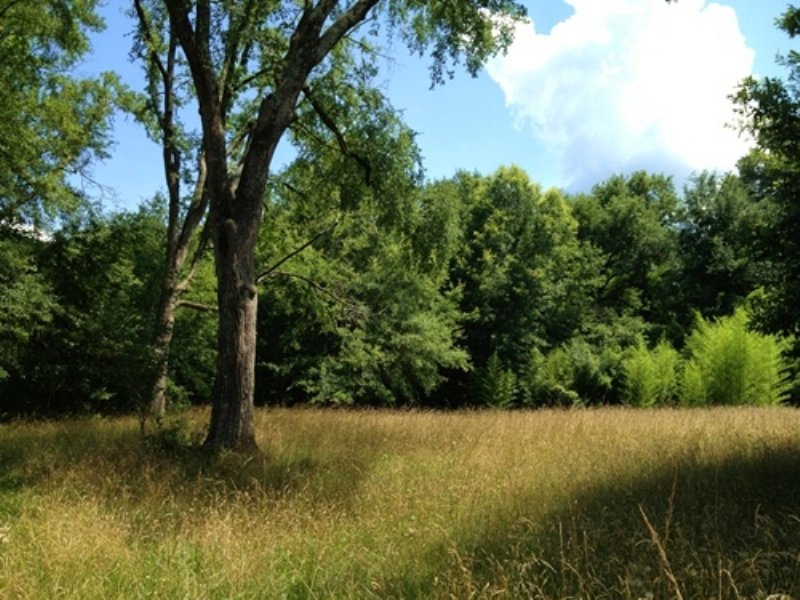 Laurens Large Recreational Homesite : Laurens : Laurens County : South Carolina