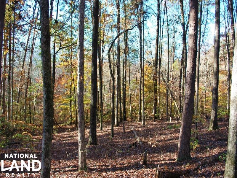 Easley Large Acre Homesite : Easley : Pickens County : South Carolina