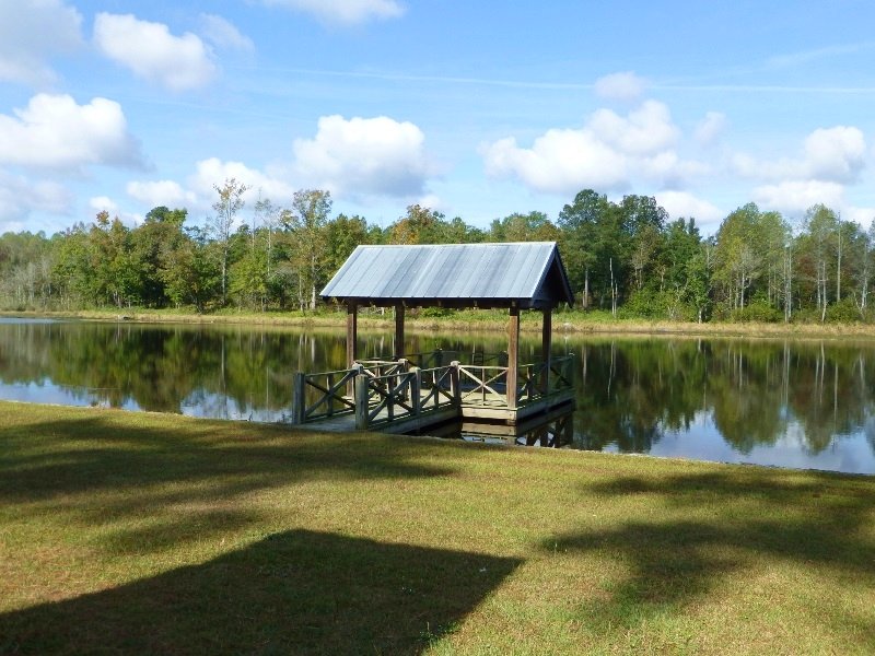 521 Acres Lacey Farm : Williston : Barnwell County : South Carolina