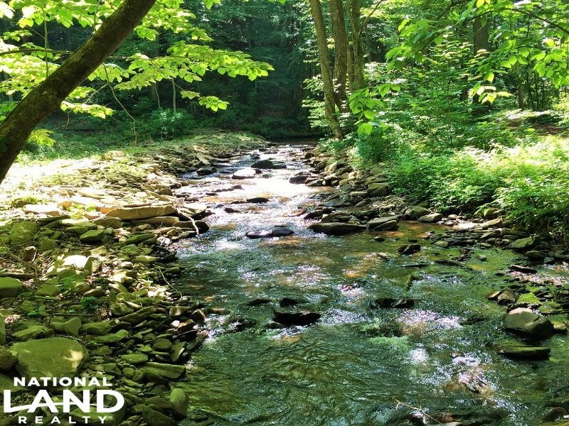 Georgian Highlands Mountain Homesit : Ellijay : Gilmer County : Georgia