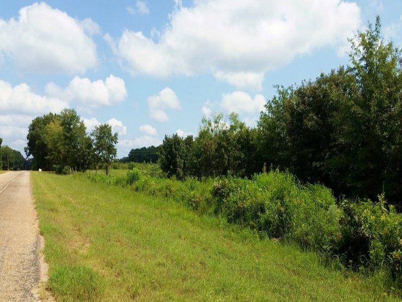 Abbeville Homesite Or Hunting Land : Abbeville : Henry County : Alabama
