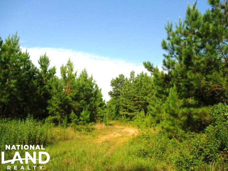 Starr Timber & Recreational Land : Starr : Anderson County : South Carolina