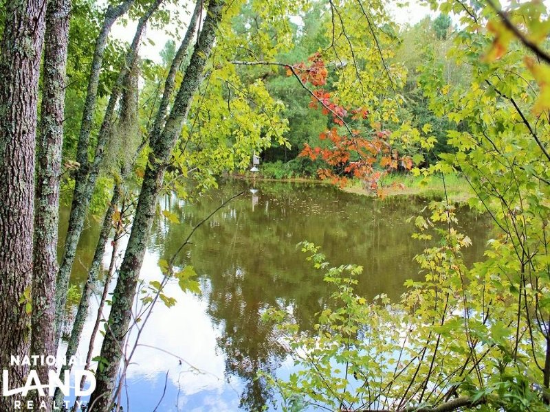 497 Acre Lynches River Hunting Trac : Lake City : Florence County : South Carolina