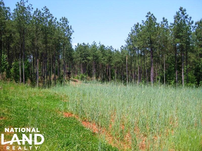 Winnsboro Timber Investment & Recre : Winnsboro : Fairfield County : South Carolina