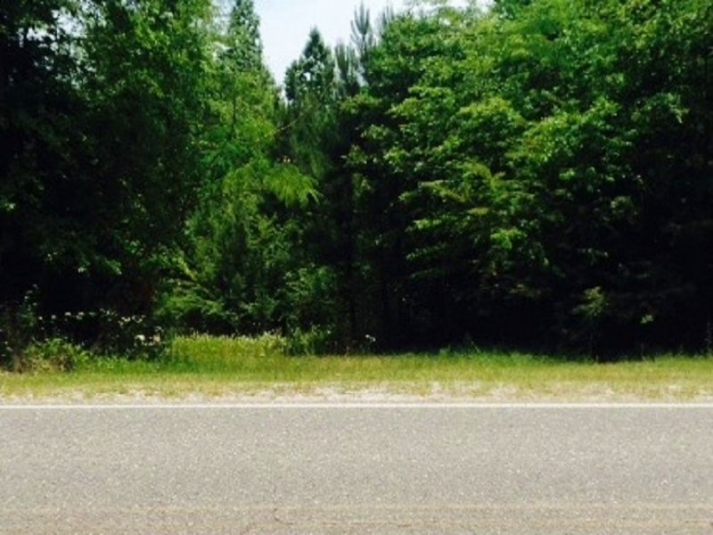 Homesite Tract : Chatom : Washington County : Alabama