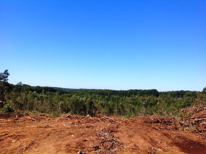 Buchanan Large Acre Recreational Ho : Buchanan : Haralson County : Georgia