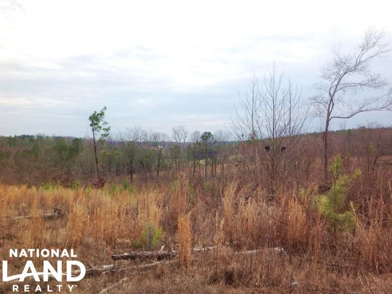 Potential Farmland Or Timber Invest : Franklin : Heard County : Georgia