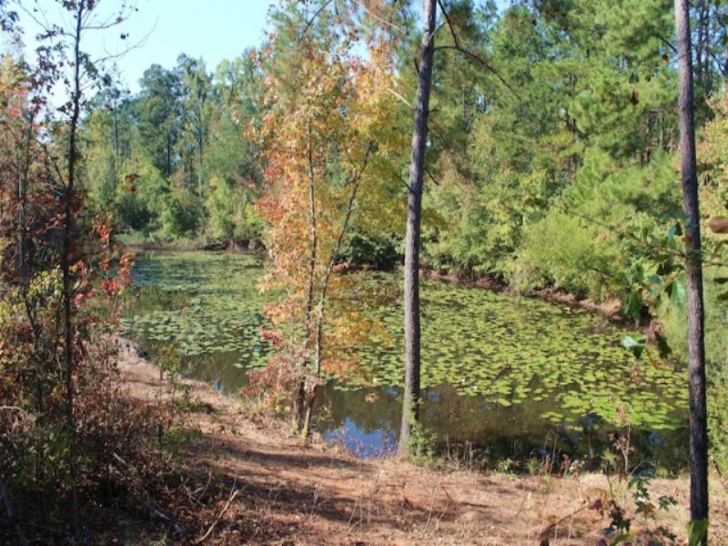 Clements Farm : Hephzibah : Richmond County : Georgia