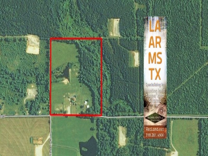 40.00 Acres Recreation Land : Ringgold : Bienville Parish : Louisiana