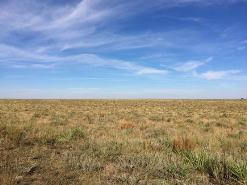 Adobe Creek Ranch : Matheson : Elbert County : Colorado