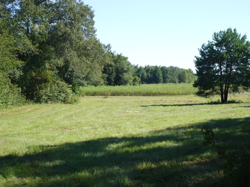 34 Acres Bargain Priced : Oconee : Washington County : Georgia