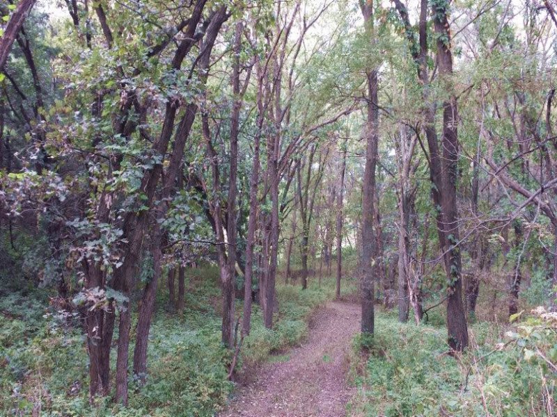 Ashland Acreage with Trees & Wi : Ashland : Saunders County : Nebraska