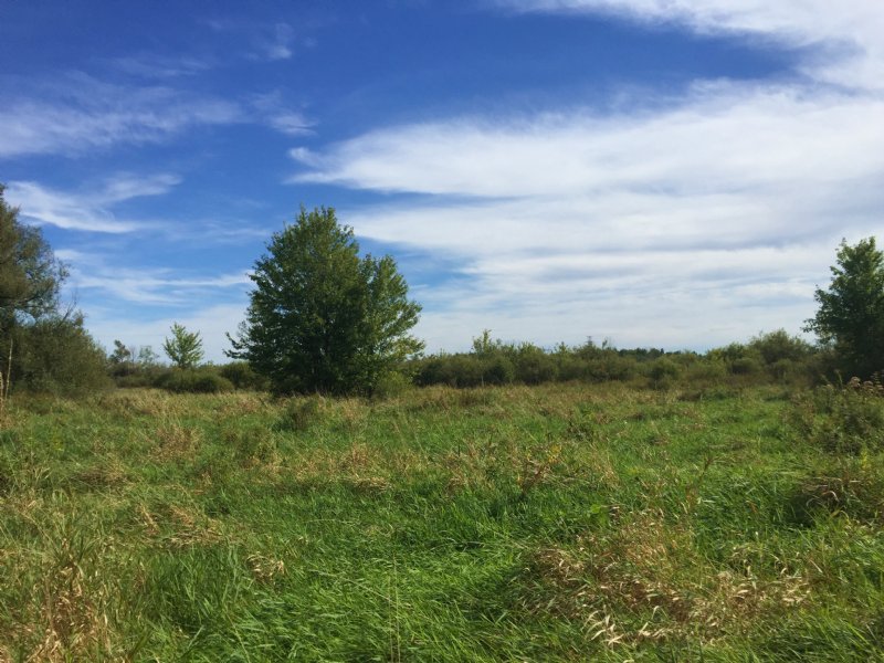 North Country Wildfowl Pond Site : Massena : Saint Lawrence County : New York