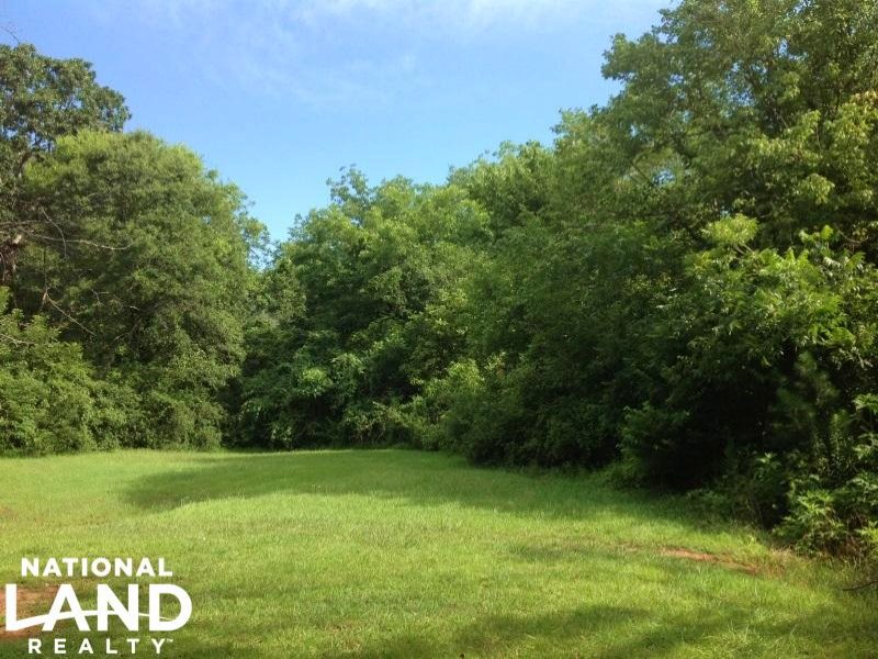 0.3 Acres Lagrange Homesite Lots : Lagrange : Troup County : Georgia