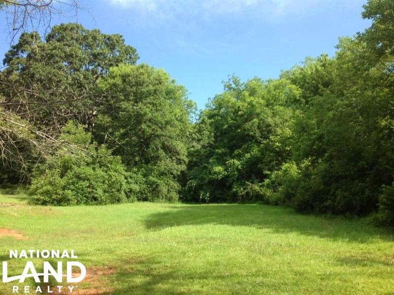 3.73 Acre Lagrange Homesite : Lagrange : Troup County : Georgia