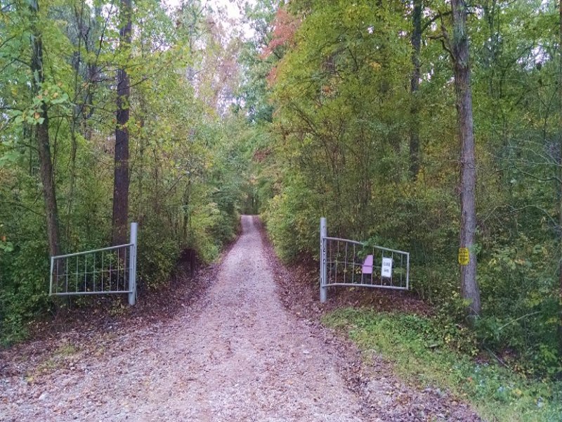 Stout Rd - 60 Acres : Logan : Hocking County : Ohio