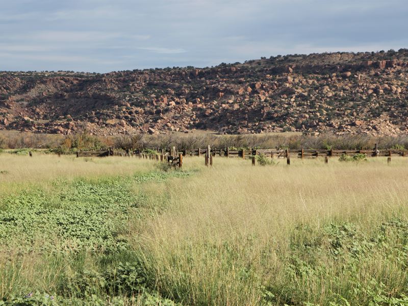 38 Acre Northern Arizona Ranch : Saint Johns : Apache County : Arizona