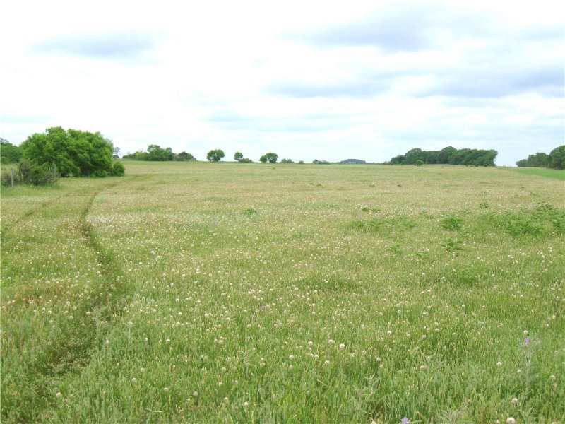 67.1 Scenic Acres : Stephenville : Erath County : Texas