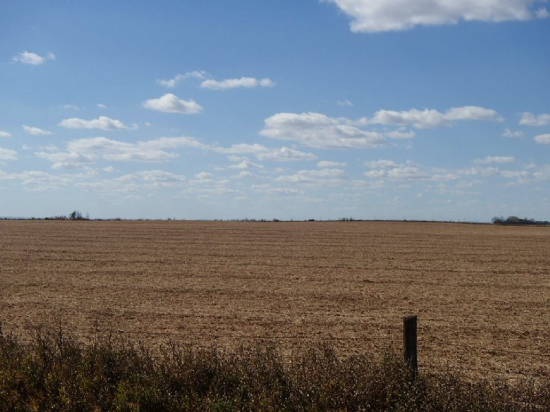 Farm Land Auction - 144.11 Acres : Ellendale : Dickey County : North Dakota