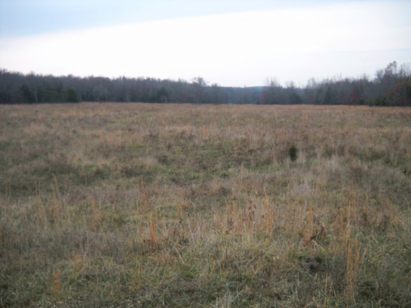200 Ac +/- Ravenden : Ravenden : Lawrence County : Arkansas