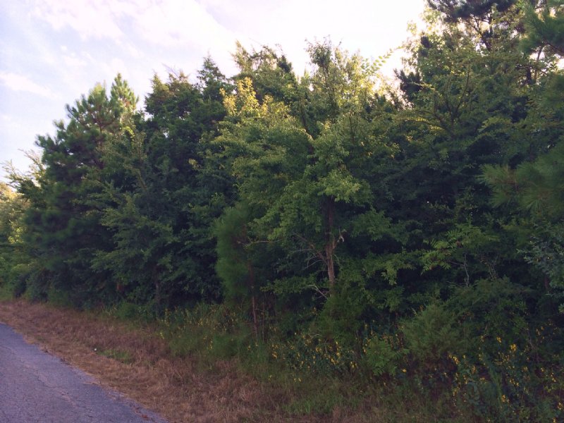 4 Ac +/- Residential Lot : Oak Grove : Greene County : Arkansas
