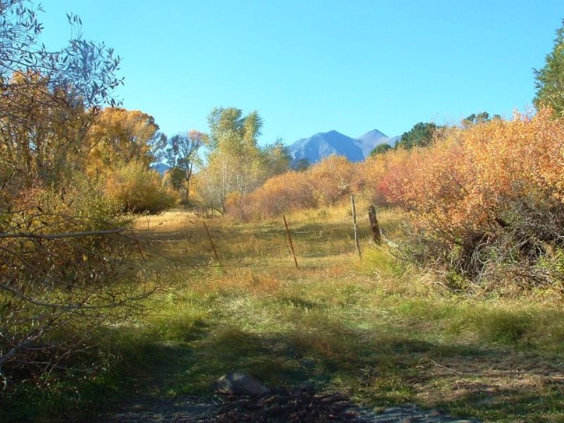 9.66 Acres Horse Farm Land : Salida : Chaffee County : Colorado