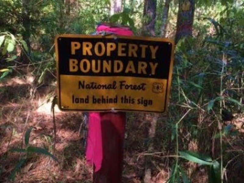30.00 Acres Hunting Land : Gloster : Amite County : Mississippi