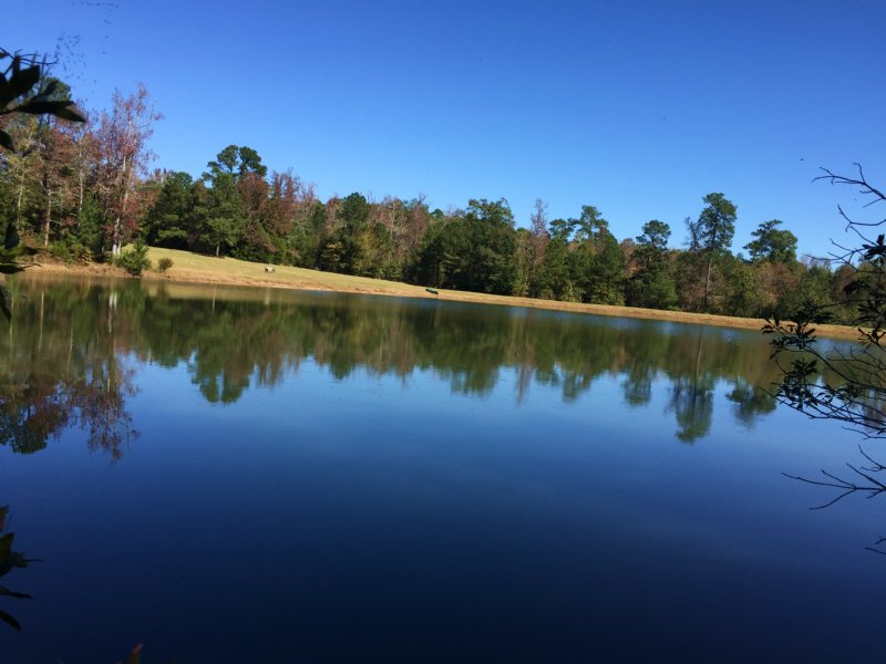 The Pond At Soap Creek Land for Sale in Lincolnton, Lincoln County