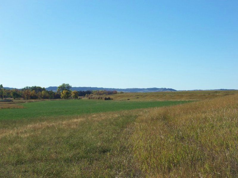 Pine Ridge Farm & Grass : Chadron : Dawes County : Nebraska