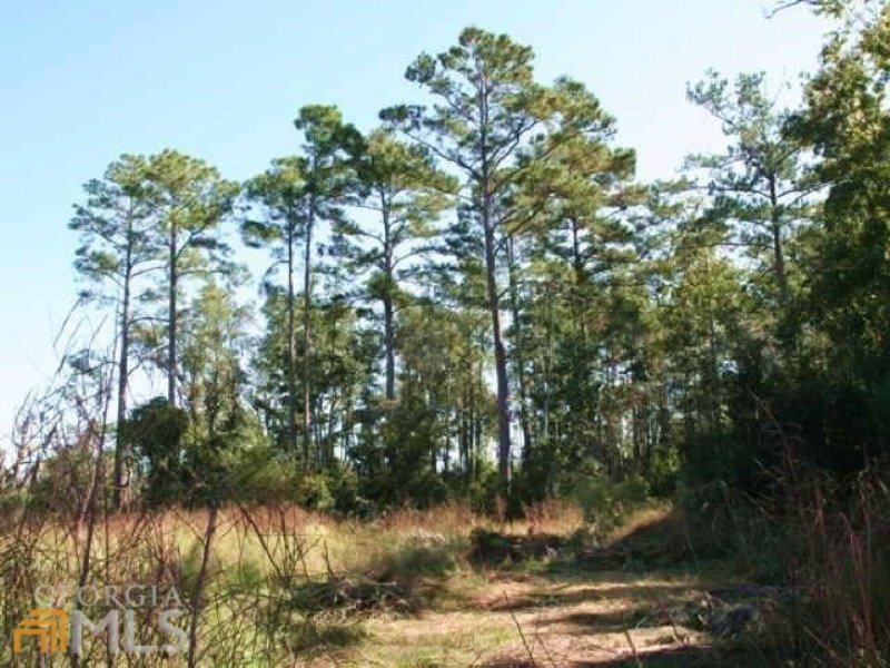 Bank Owned Residential Lot : Kingsland : Camden County : Georgia